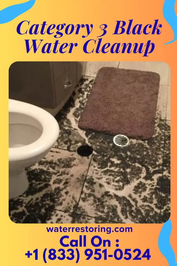 Category 3 Black Water Cleanup in Hoffman, IL