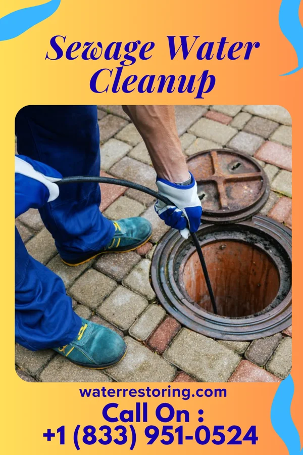 Sewage Water Cleanup in Hoffman, IL