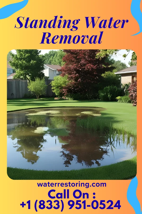 Standing Water Removal in Hoffman, IL